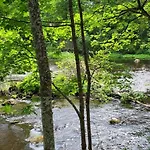 Hattara - A On The Shore Of A Rapid Nukari