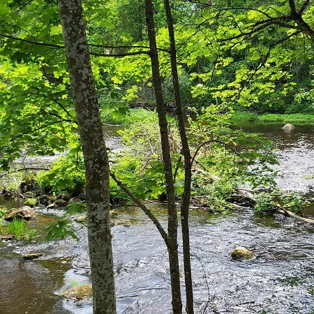 Hattara - A On The Shore Of A Rapid Nukari