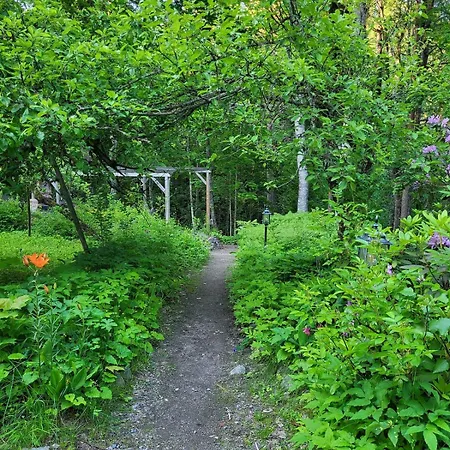 Hattara - A On The Shore Of A Rapid Nukari