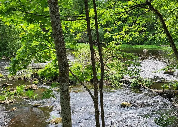 Hattara - A On The Shore Of A Rapid Nukari