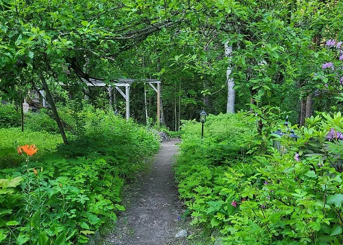Hattara - A On The Shore Of A Rapid Nukari